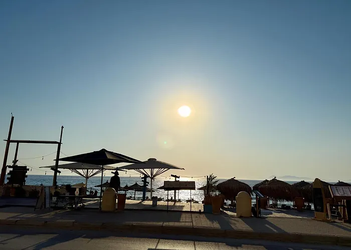 Polikseni Orfanidou * Rhodes City